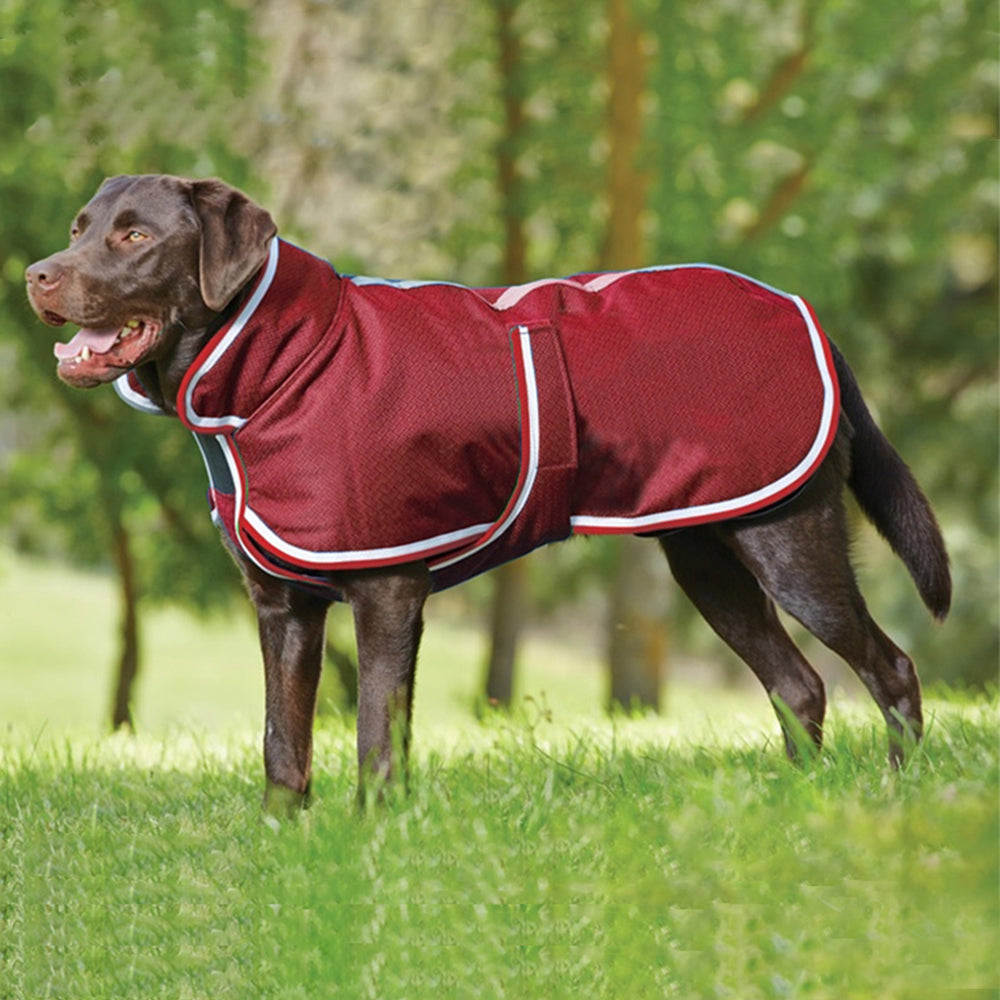 Keep Your Furry Friend Warm This Winter with Our Waterproof Pet Jacket